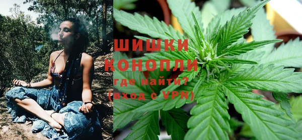 ГАЛЛЮЦИНОГЕННЫЕ ГРИБЫ Ельня