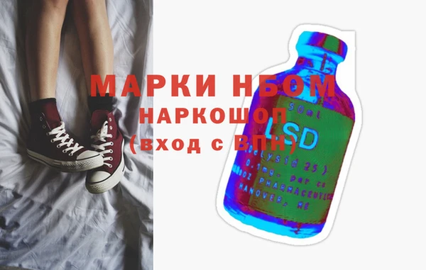 ГАЛЛЮЦИНОГЕННЫЕ ГРИБЫ Ельня