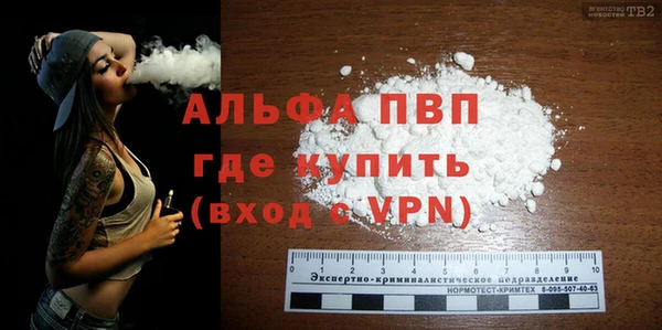 ГАЛЛЮЦИНОГЕННЫЕ ГРИБЫ Ельня
