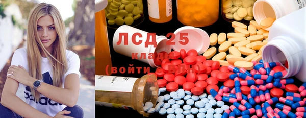 ГАЛЛЮЦИНОГЕННЫЕ ГРИБЫ Ельня