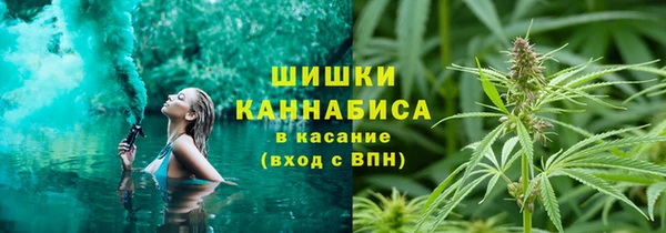 ГАЛЛЮЦИНОГЕННЫЕ ГРИБЫ Ельня